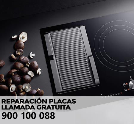 Reparación averías placa de cocción Haier